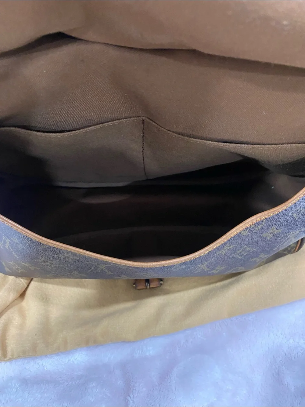 Louis Vuitton authentic louis